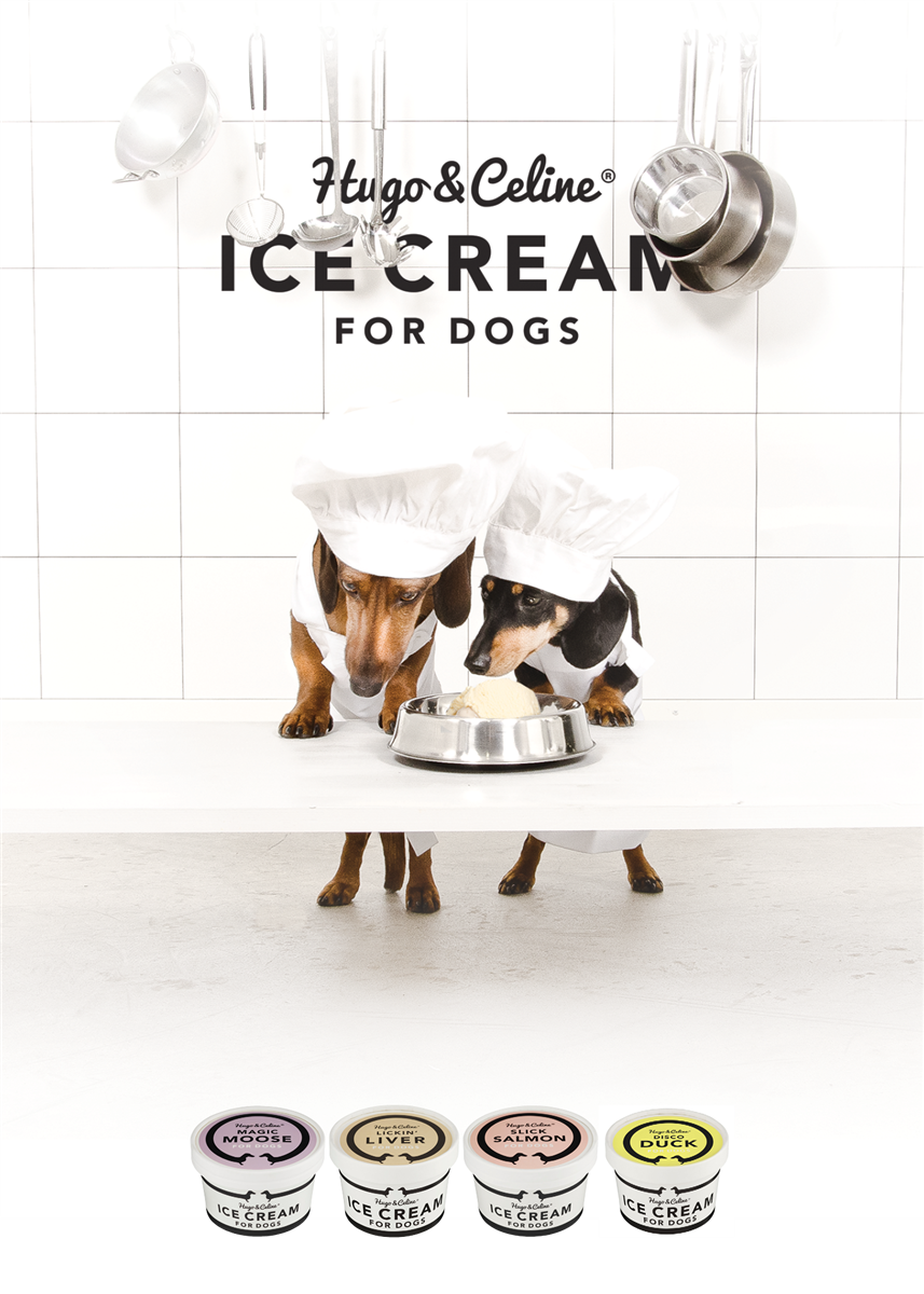 H&C Ice Cream for Dogs Plakat 50x70cm