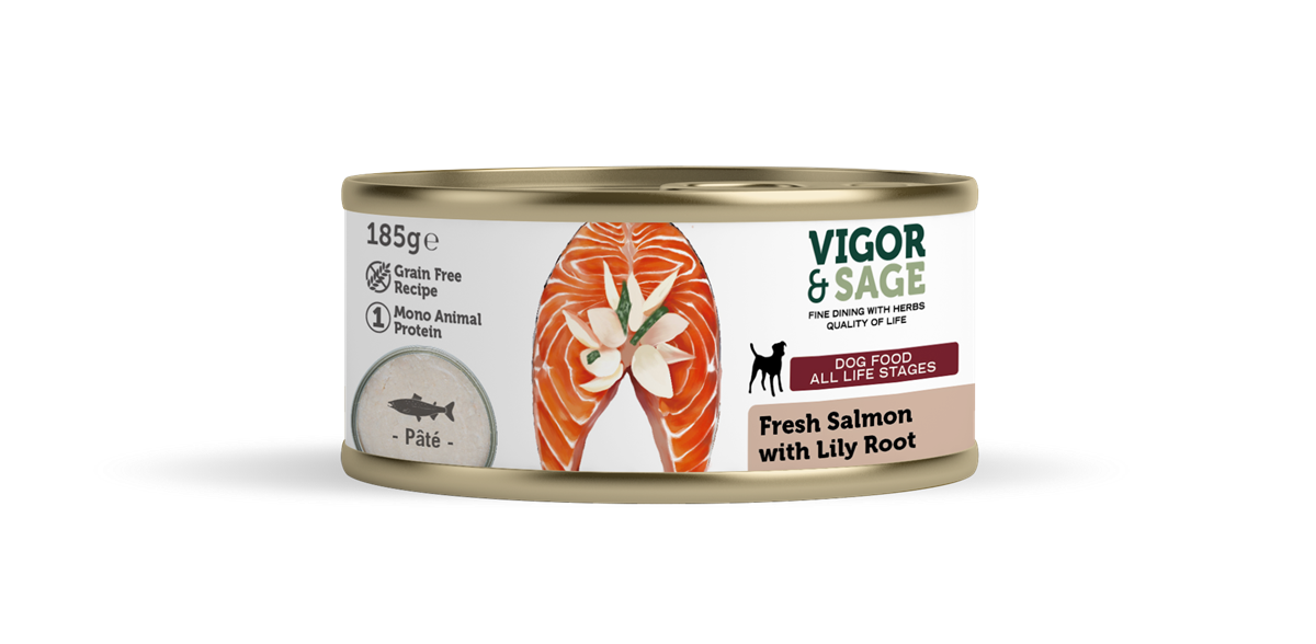 VS Lily Root & Fresh Salmon Dog Food-180G Can