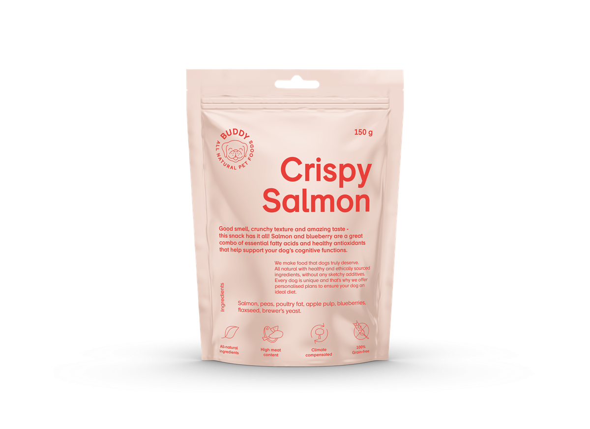 BUDDY Crunchy Snack Salmon with Blueberries 150g